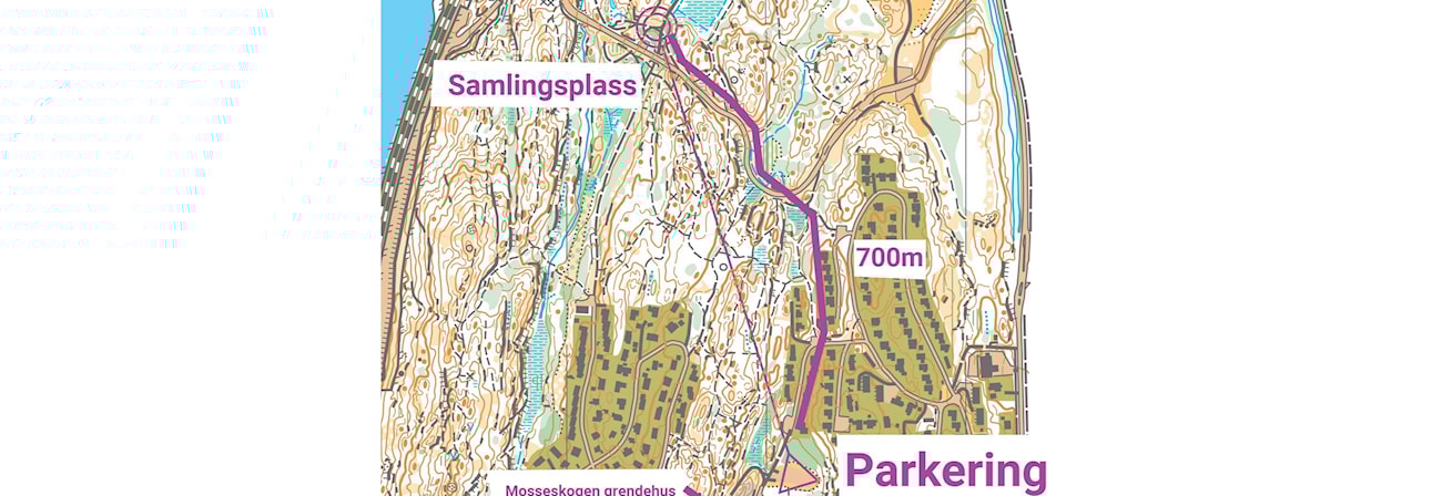 Mossemesterskap mellomdistanse